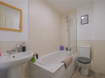 Picture 21